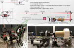 Optical Tweezers and a Quantum Gas Microscope