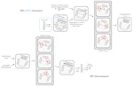 Particle Cloud Generation with Message Passing Generative Adversarial Networks