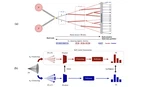 RINO: Renormalization Group Invariance with No Labels